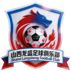 山西龙盛